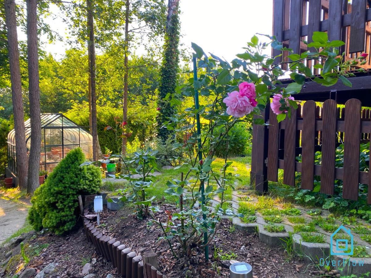 Holibobos Year Round In By The Only 30 Minutes From Gdansk And Gdynia